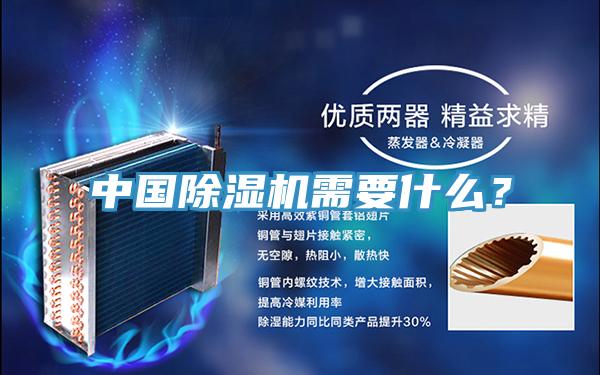 中国猫咪成人官网需要什么？