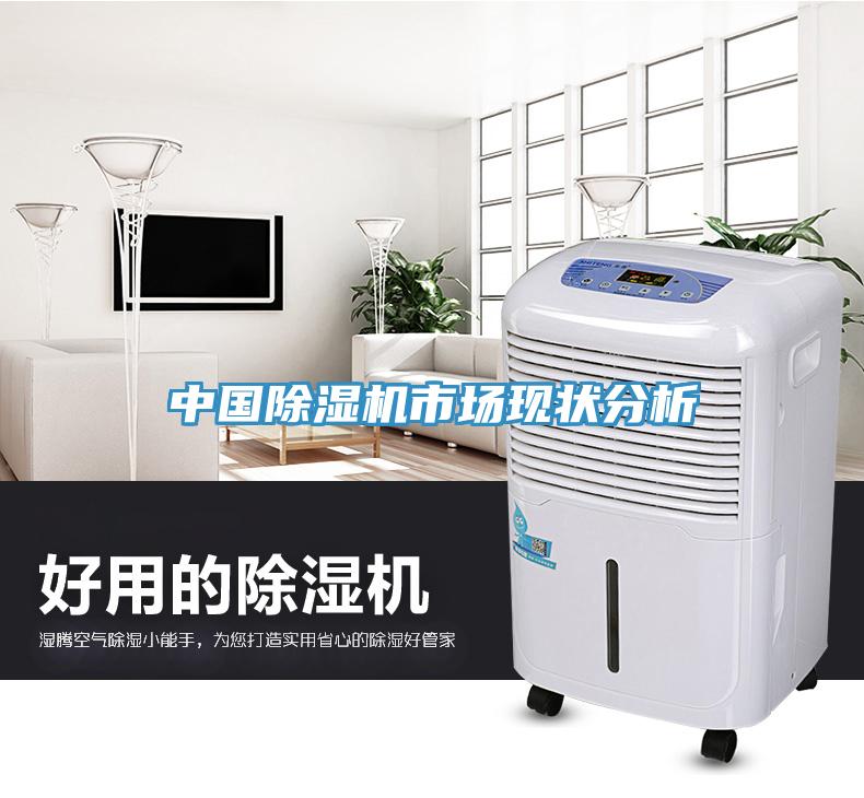 中国猫咪成人官网市场现状分析
