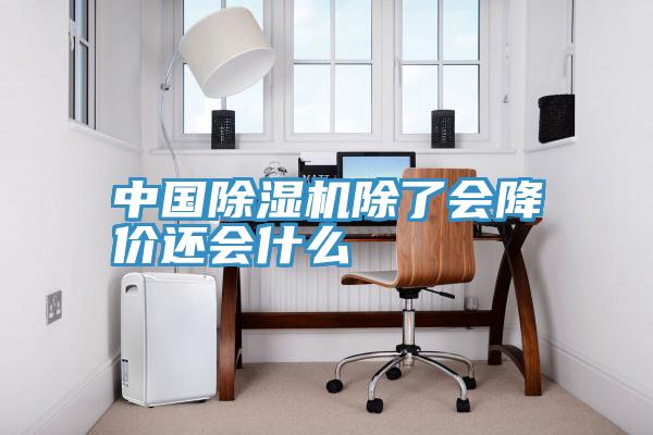 中国猫咪成人官网除了会降价还会什么