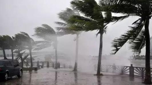 8月台风雨即将来，猫咪成人官网还得用起来