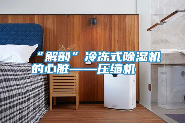 “解剖”冷冻式猫咪成人官网的心脏——压缩机