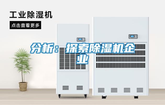 分析：探索猫咪成人官网企业