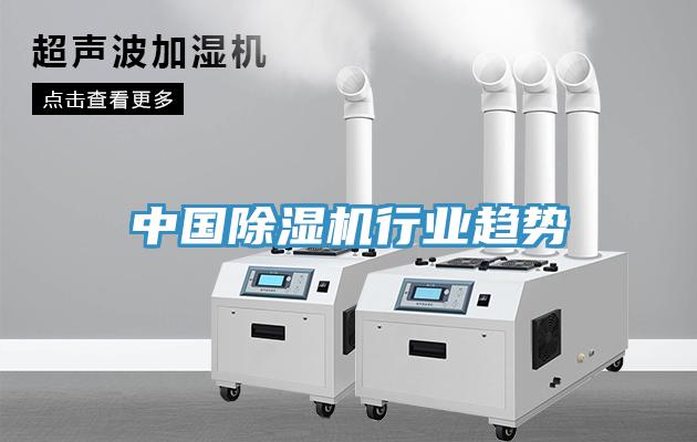 中国猫咪成人官网行业趋势