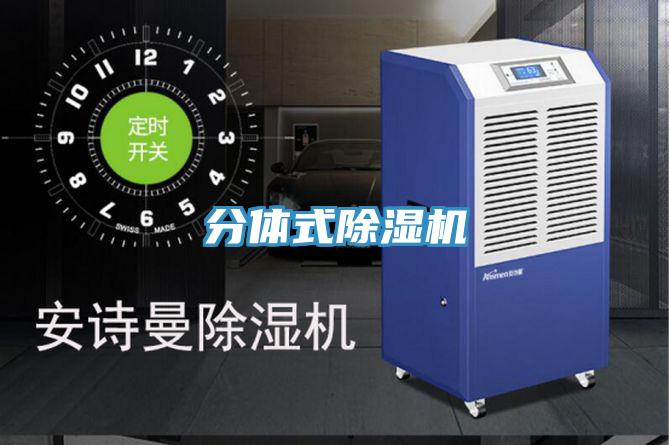 分体式猫咪成人官网