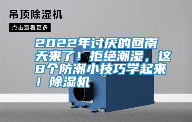 2022年讨厌的回南天来了！拒绝潮湿，这8个防潮小技巧学起来！猫咪成人官网