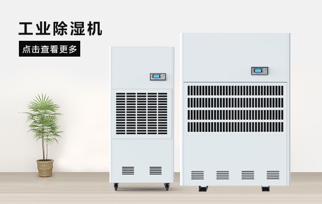三八节送妈妈的礼物，选这款猫咪成人在线视频除湿器就对了
