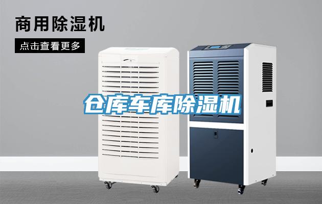 仓库车库猫咪成人官网