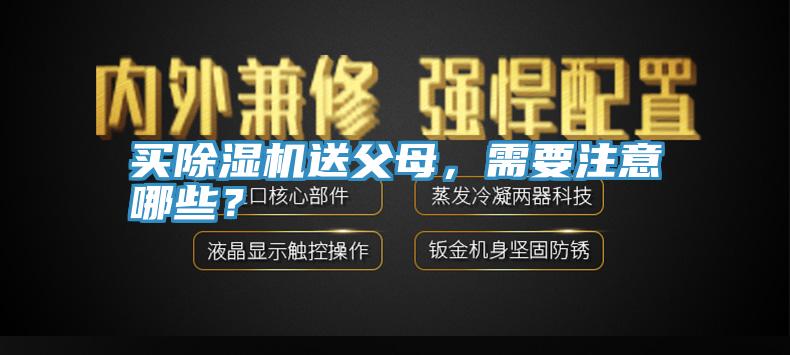 买猫咪成人官网送父母，需要注意哪些？