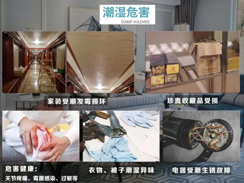 猫咪成人官网