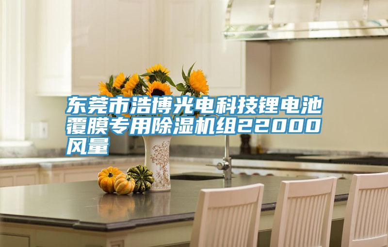 东莞市浩博光电科技锂电池覆膜专用猫咪成人官网组22000风量