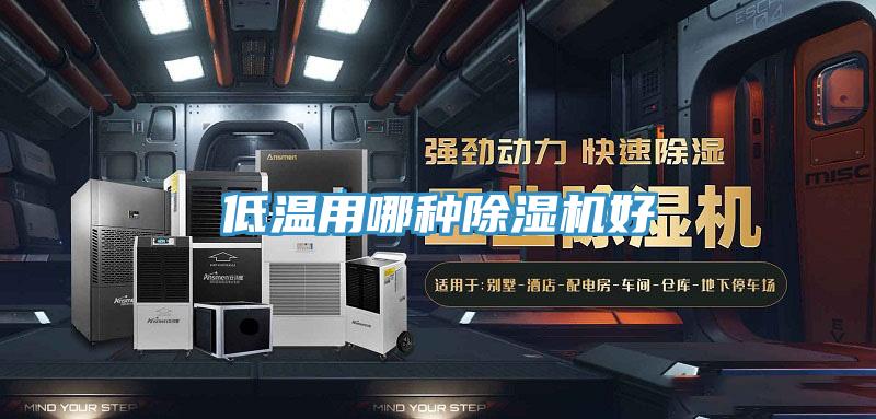 低温用哪种猫咪成人官网好