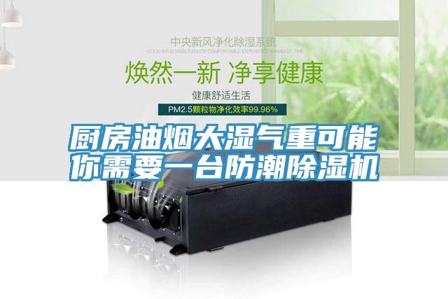 厨房油烟大湿气重可能你需要一台防潮猫咪成人官网