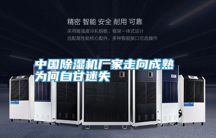 中国猫咪成人官网厂家走向成熟 为何自甘迷失