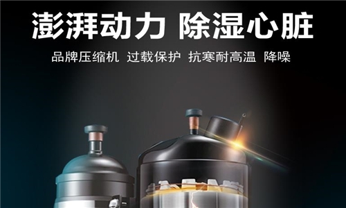 别吃了潮湿环境的亏，猫咪成人官网正确开启方式