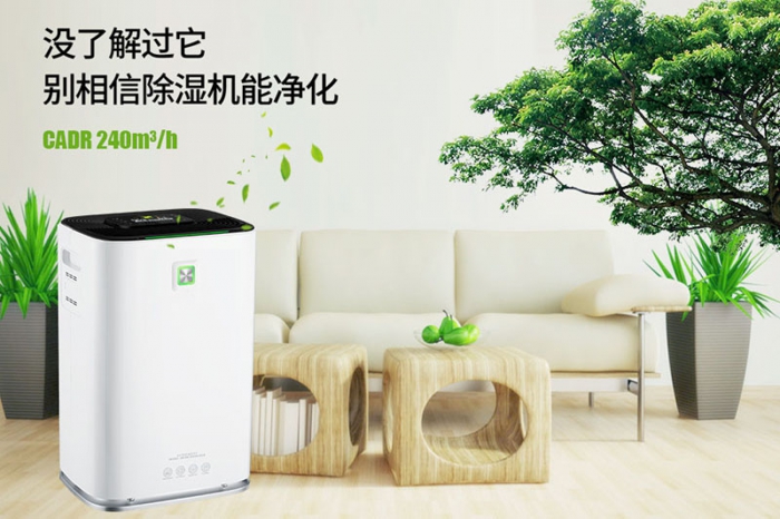 一到回南天狗狗就感冒+皮肤病，怎么办？