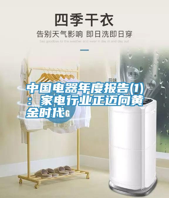 中国电器年度报告(1)：家电行业正迈向黄金时代