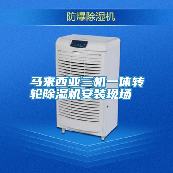 马来西亚三机一体转轮猫咪成人官网安装现场
