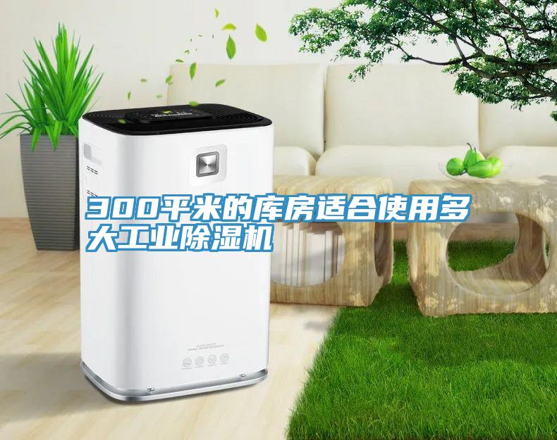 300平米的库房适合使用多大工业猫咪成人官网