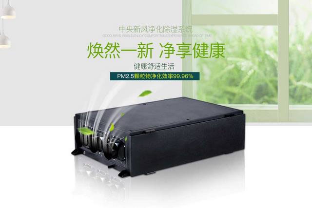 全年365天呼吸健康干爽空气——防霾全热交换新风猫咪成人官网