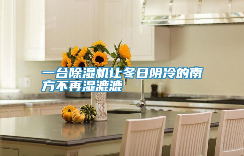 一台猫咪成人官网让冬日阴冷的南方不再湿漉漉