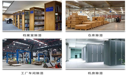 为什么竹笋烘干房需要猫咪成人官网？