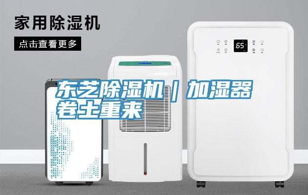 东芝猫咪成人官网｜加湿器卷土重来