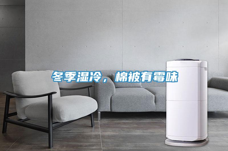 冬季湿冷，棉被有霉味