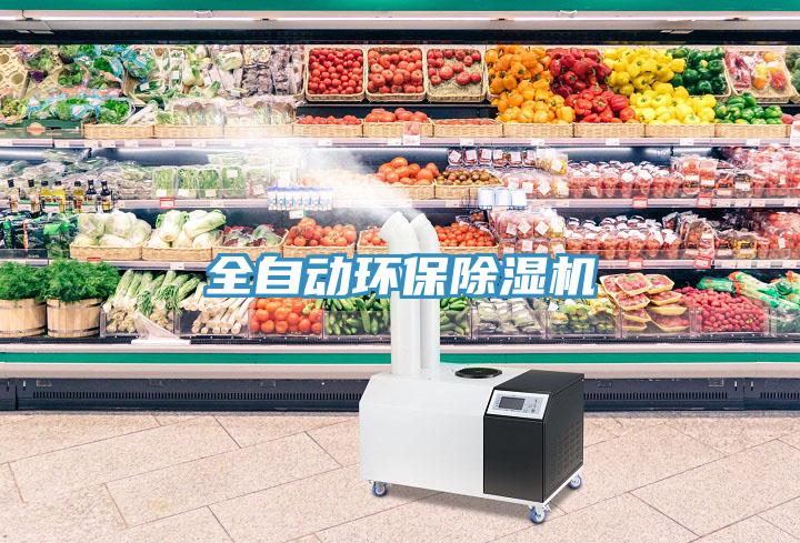 全自动环保猫咪成人官网