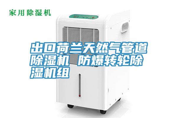 出口荷兰天然气管道猫咪成人官网 防爆转轮猫咪成人官网组