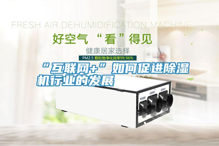 “互联网+”如何促进猫咪成人官网行业的发展