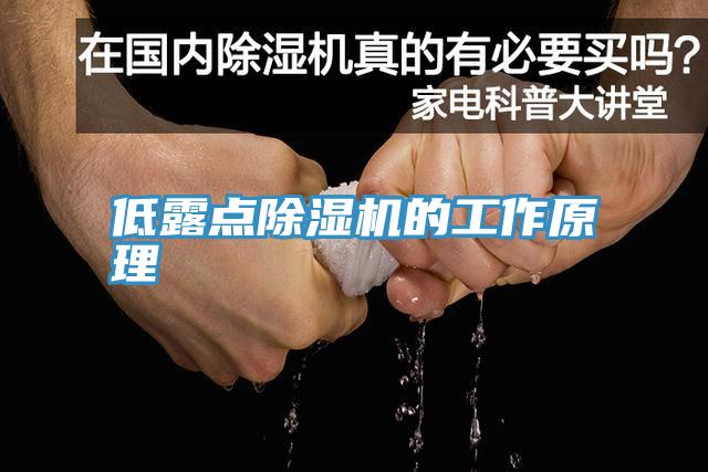 低露点猫咪成人官网的工作原理