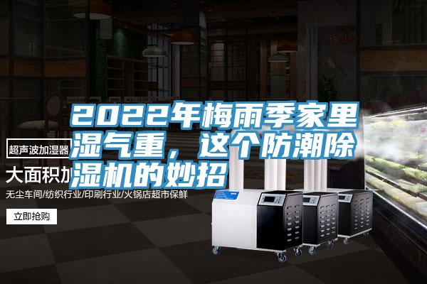 2022年梅雨季家里湿气重，这个防潮猫咪成人官网的妙招