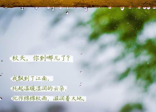 “无晴”阴雨天 “有晴”猫咪成人官网