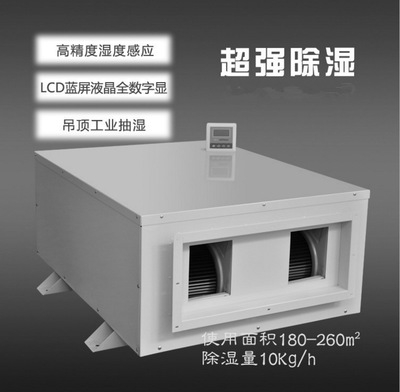 2022年猫咪成人官网十大品牌