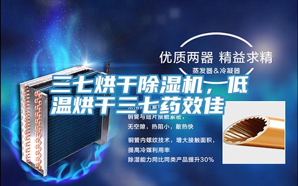 三七烘干猫咪成人官网，低温烘干三七药效佳