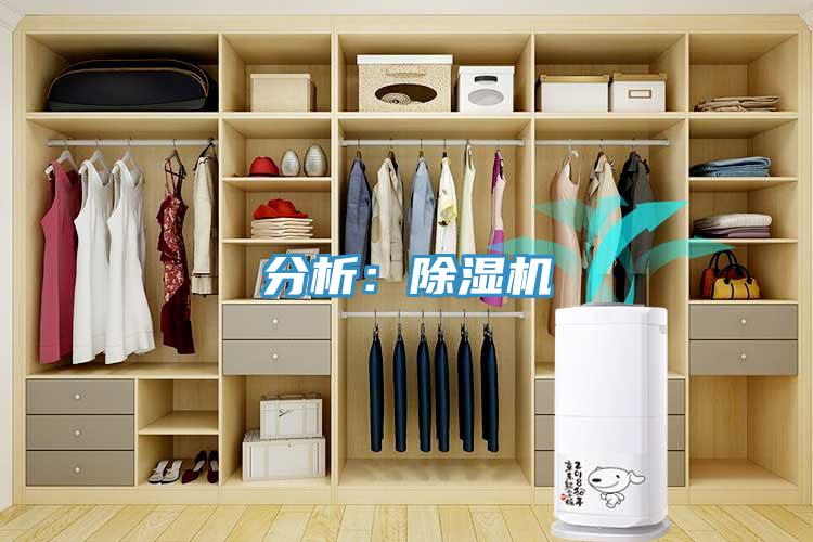 分析：猫咪成人官网