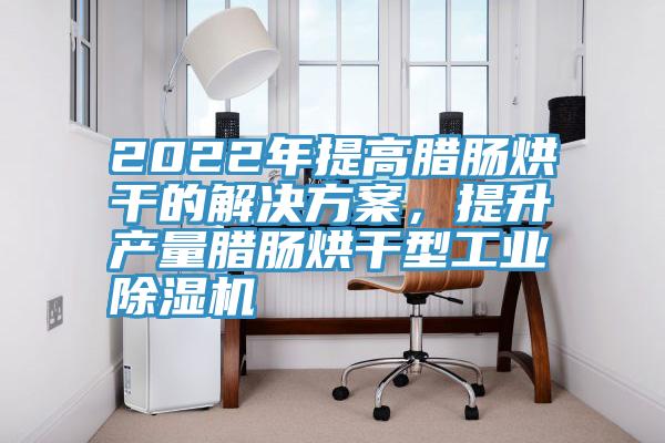 2022年提高腊肠烘干的解决方案，提升产量腊肠烘干型工业猫咪成人官网