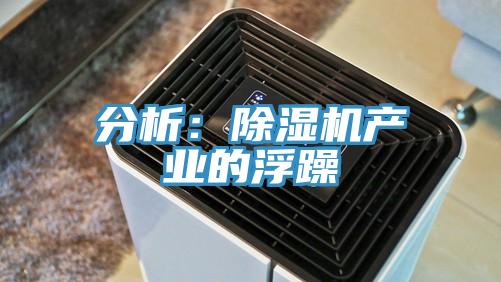 分析：猫咪成人官网产业的浮躁