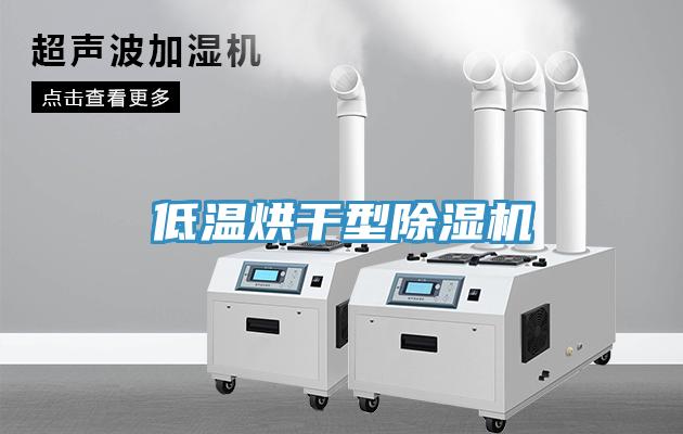 低温烘干型猫咪成人官网