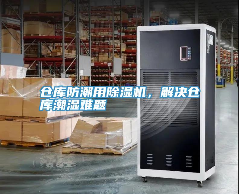 仓库防潮用猫咪成人官网，解决仓库潮湿难题