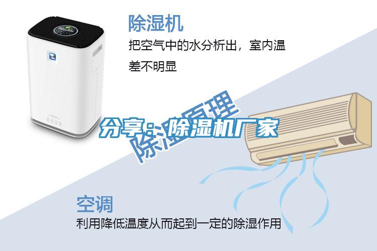 分享：猫咪成人官网厂家