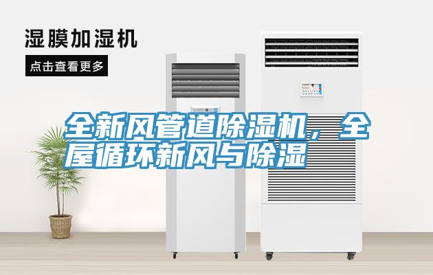 全新风管道猫咪成人官网，全屋循环新风与除湿