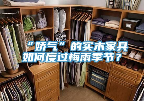 “娇气”的实木家具如何度过梅雨季节？