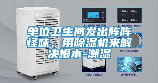 单位卫生间发出阵阵怪味，用猫咪成人官网来解决根本-潮湿