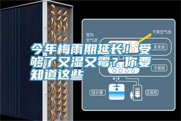 今年梅雨期延长！受够了又湿又霉？你要知道这些