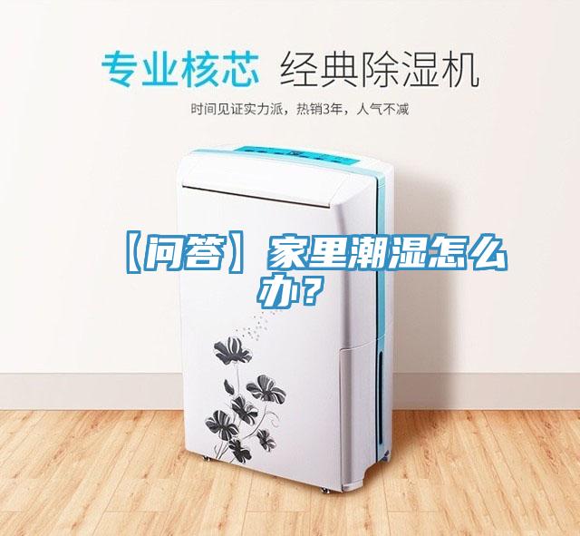【问答】家里潮湿怎么办？