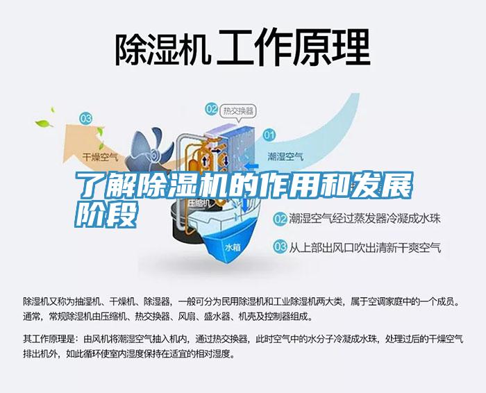 了解猫咪成人官网的作用和发展阶段