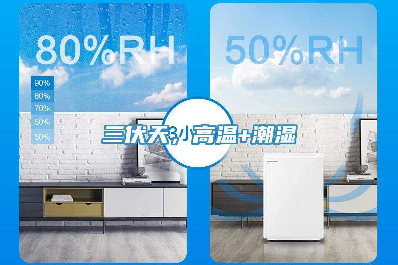 三伏天，高温+潮湿