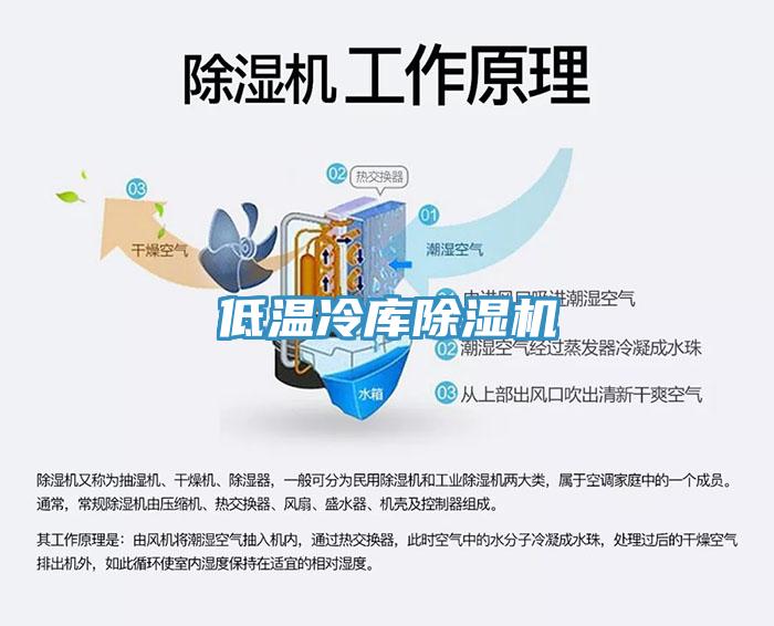 低温冷库猫咪成人官网