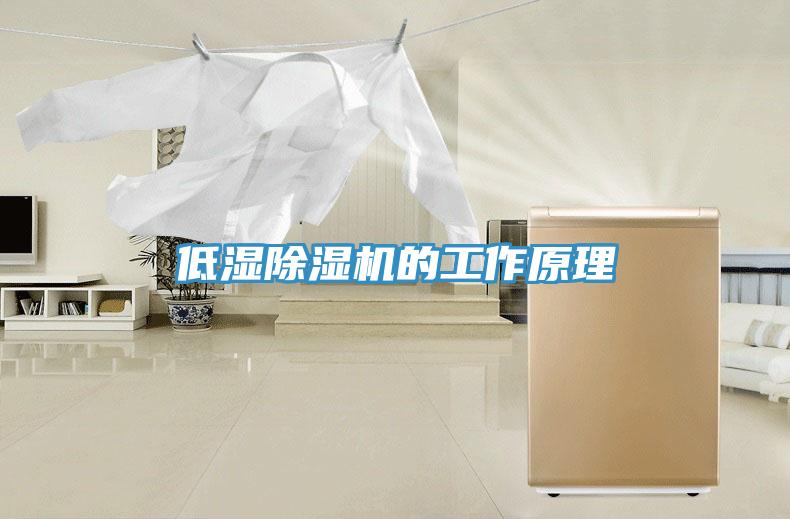低湿猫咪成人官网的工作原理